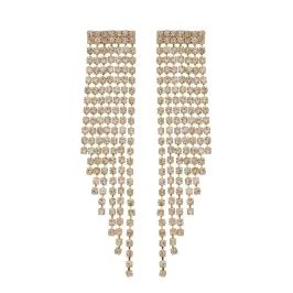 Brinco Franja Cravejado