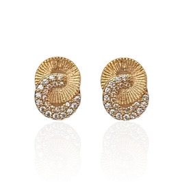 Brinco Elos Cravejados Banhado a Ouro